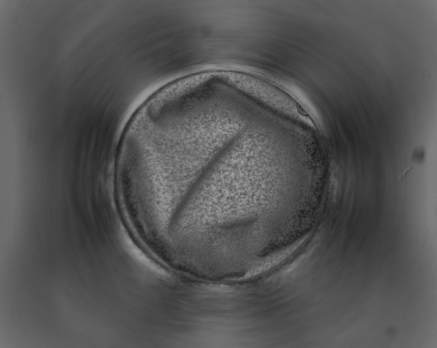 X0000092231100200710051214