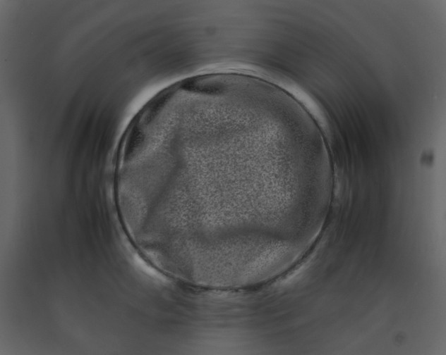 X0000092231102200710051214