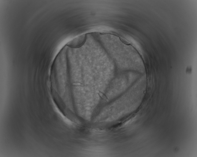 X0000092231103200710051214