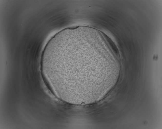 X0000092231104200710051214