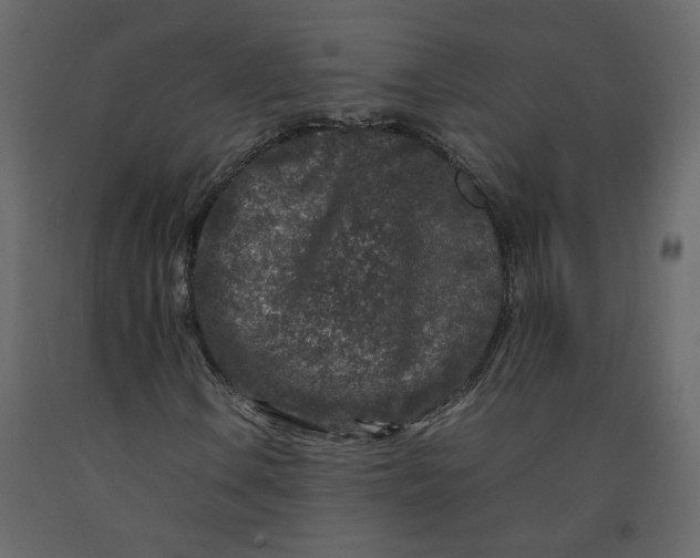 X0000092231106200710051213