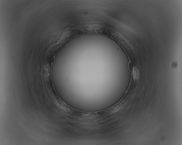 X0000092231107200710051213