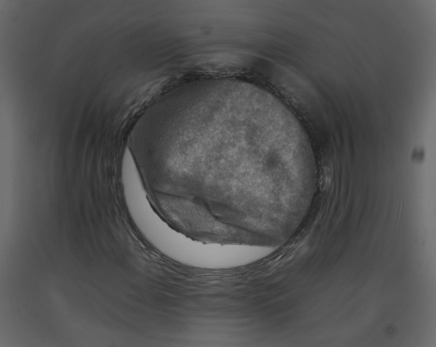 X0000092231108200710051213