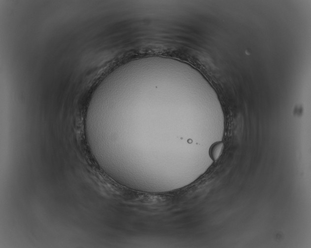 X0000092231109200710051213