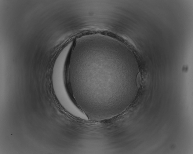 X0000092231110200710051213