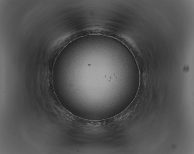 X0000092231111200710051213