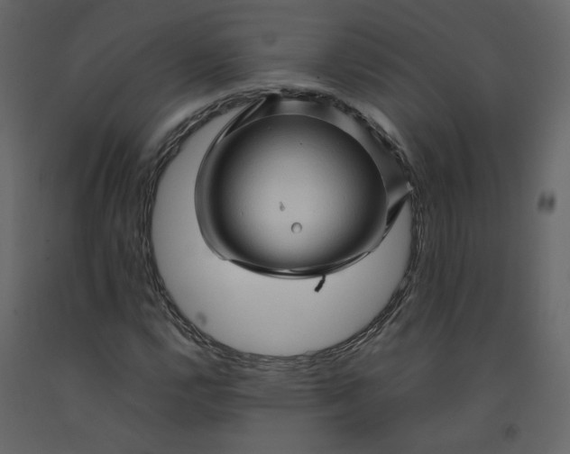 X0000092231112200710051213