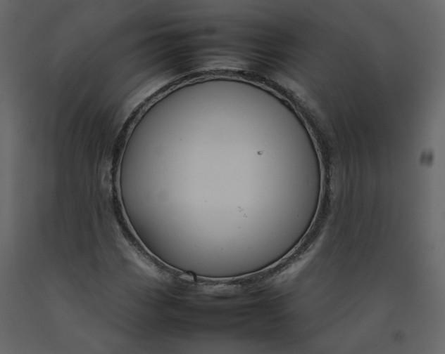 X0000092231113200710051213