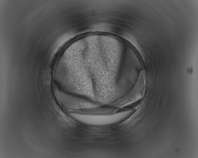 X0000092231115200710051213