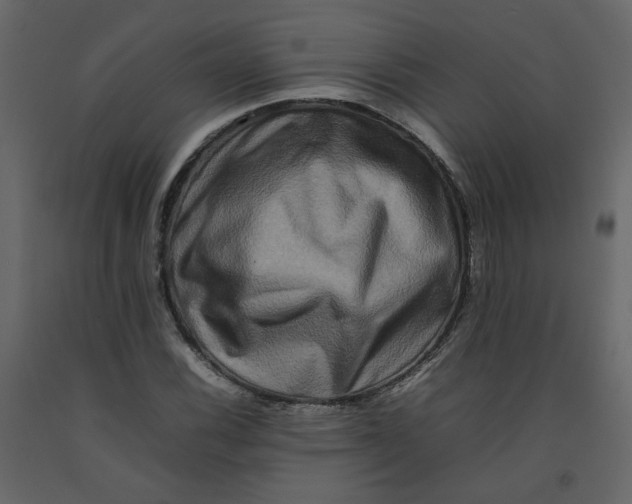 X0000092231116200710051213