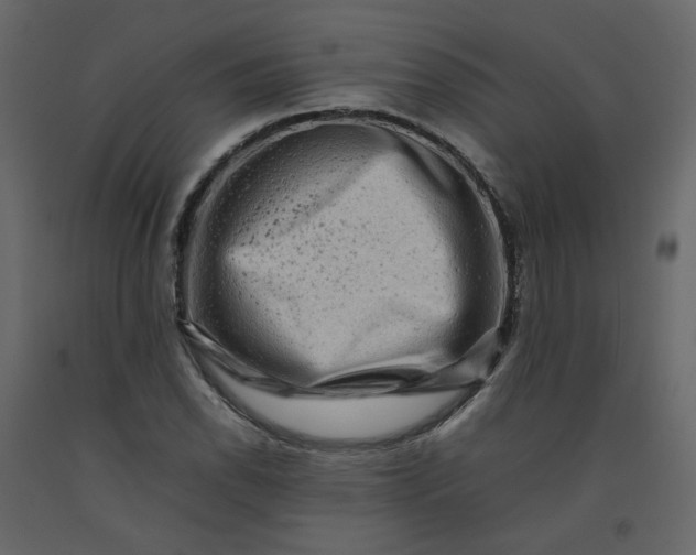 X0000092231118200710051213