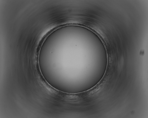 X0000092231119200710051213