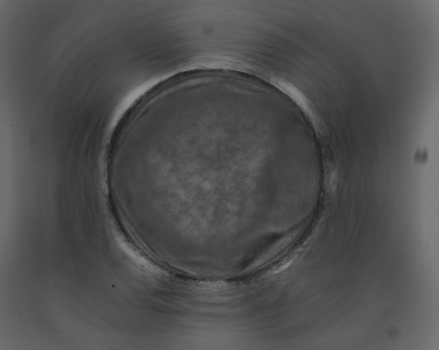 X0000092231120200710051213