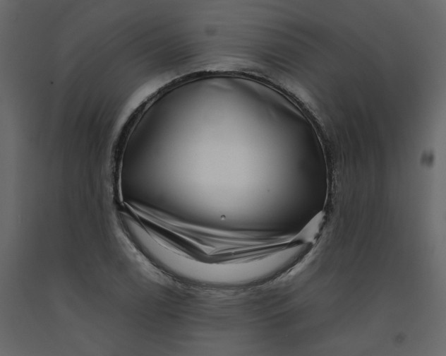 X0000092231122200710051213