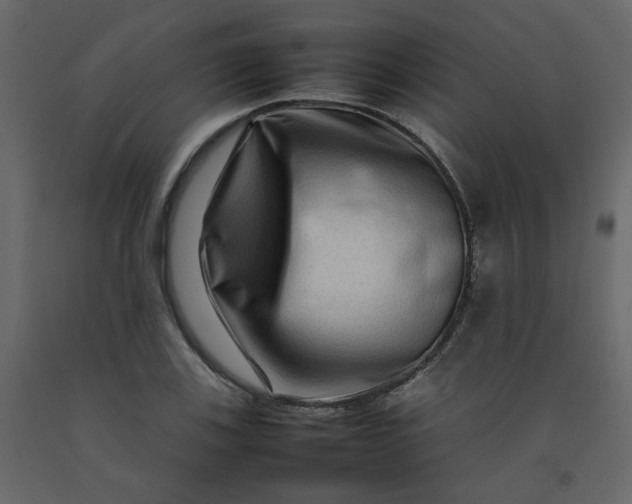 X0000092231123200710051213