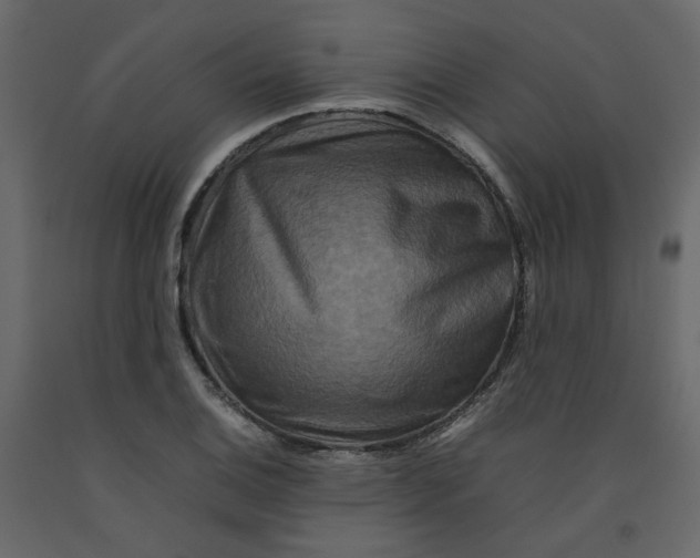 X0000092231124200710051213