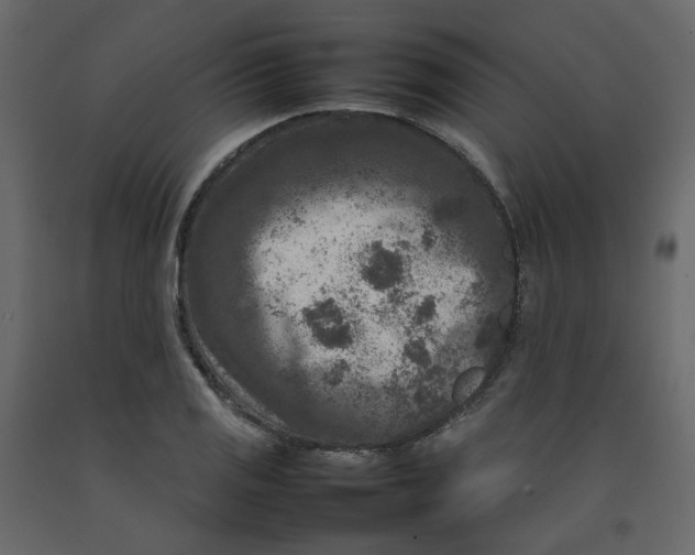 X0000092231125200710051213