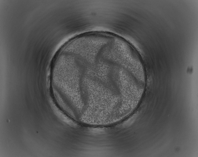 X0000092231126200710051213