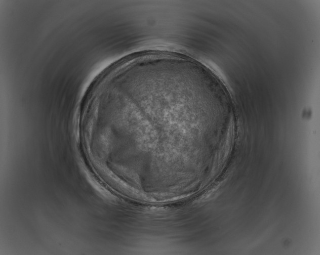 X0000092231128200710051213