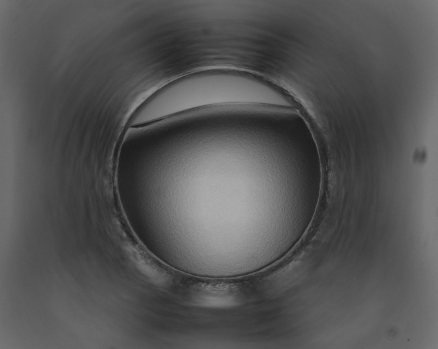 X0000092231129200710051213