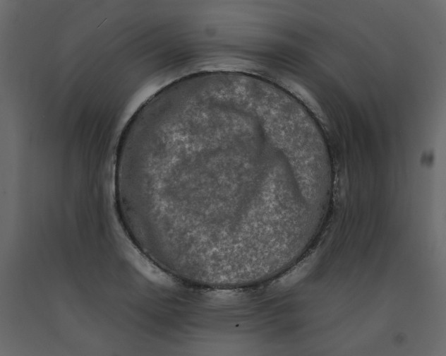 X0000092231130200710051213