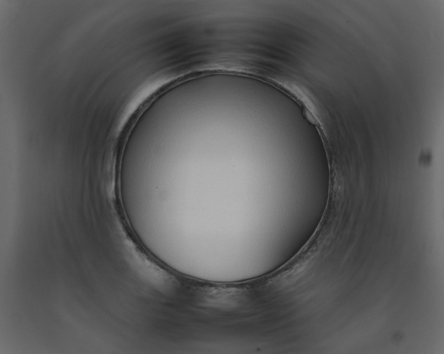 X0000092231131200710051213