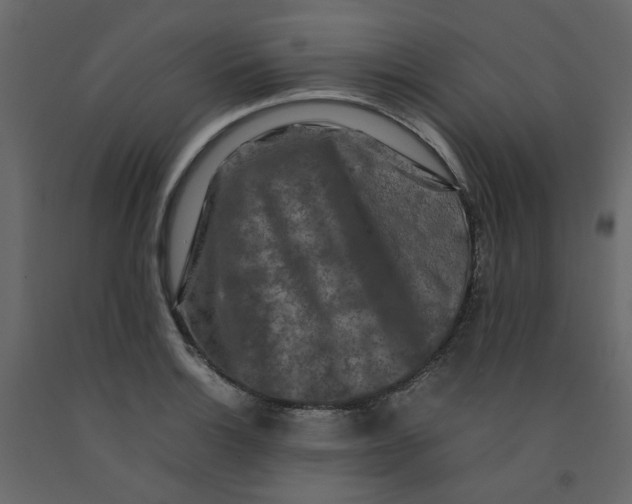 X0000092231132200710051213