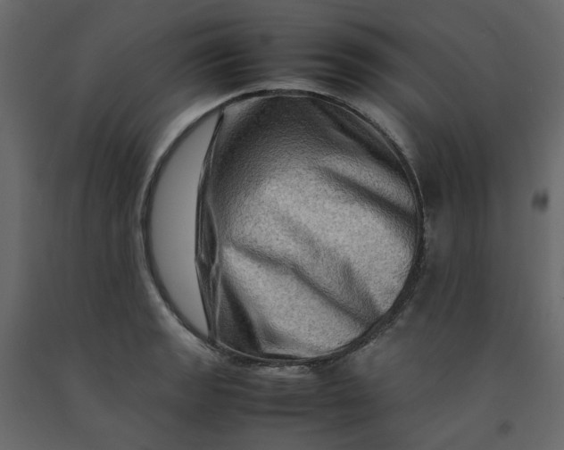 X0000092231133200710051213