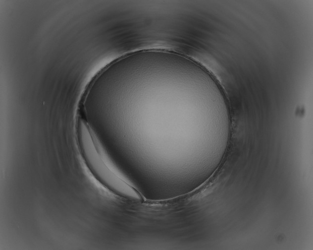 X0000092231135200710051214