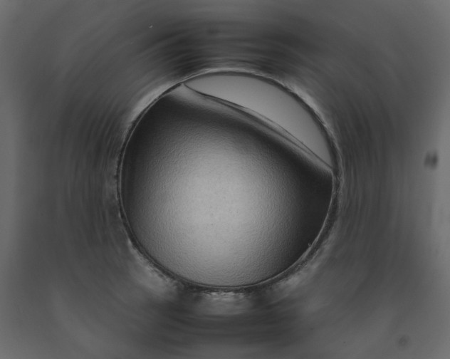 X0000092231137200710051214