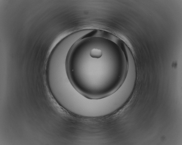 X0000092231138200710051214