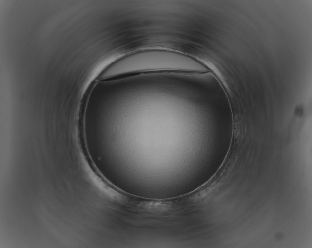 X0000092231139200710051214