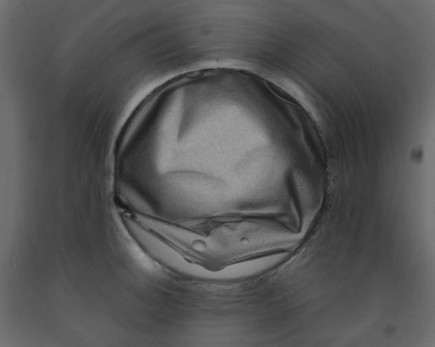 X0000092231140200710051214