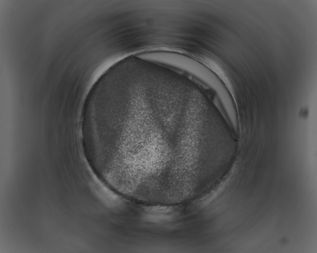 X0000092231141200710051214