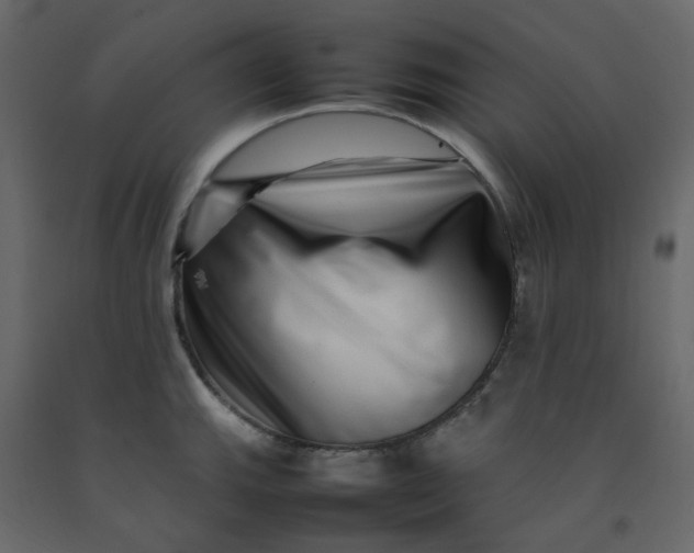 X0000092231143200710051214