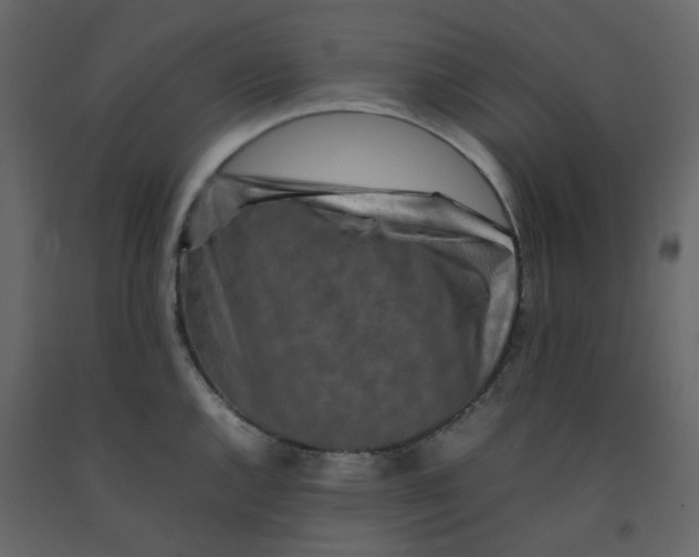 X0000092231144200710051214