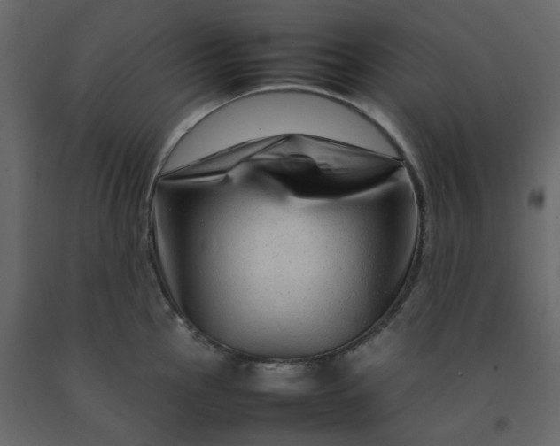 X0000092231145200710051214