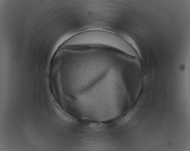 X0000092231146200710051214