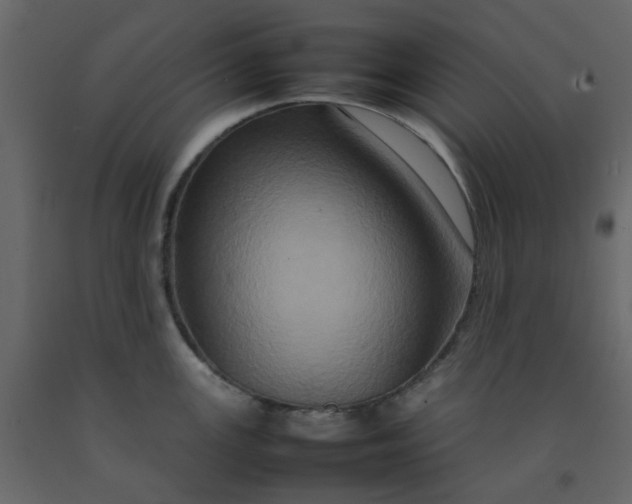 X0000092231147200710051214