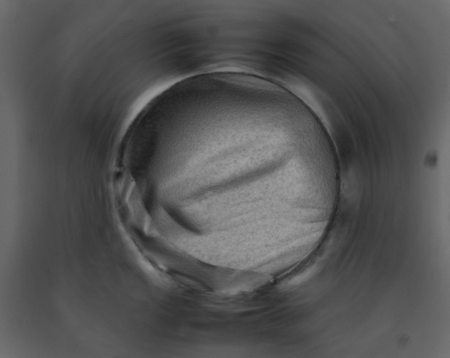 X0000092231149200710051214