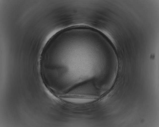 X0000092231151200710051214