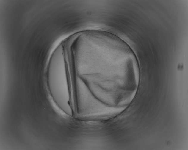 X0000092231152200710051214