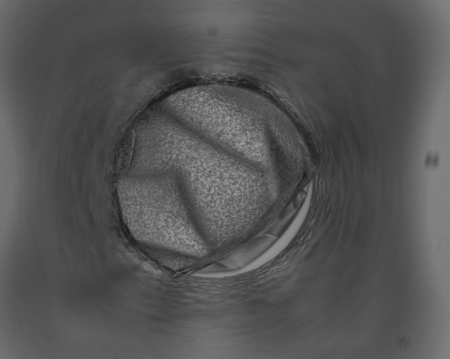 X0000092231153200710051213