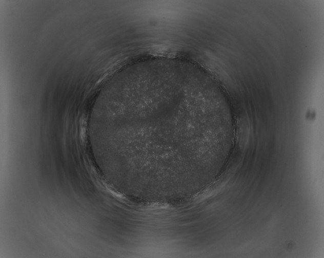 X0000092231154200710051213