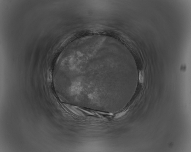 X0000092231155200710051213