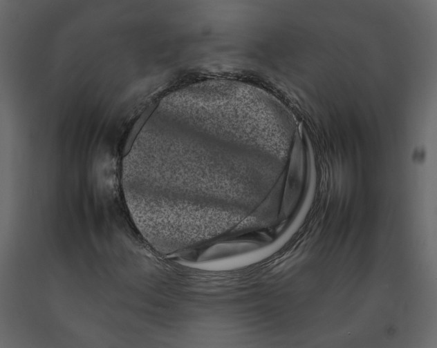 X0000092231156200710051213