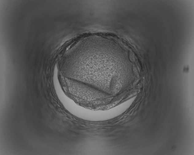 X0000092231157200710051213