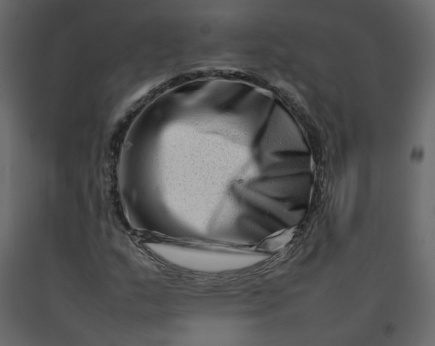 X0000092231159200710051213