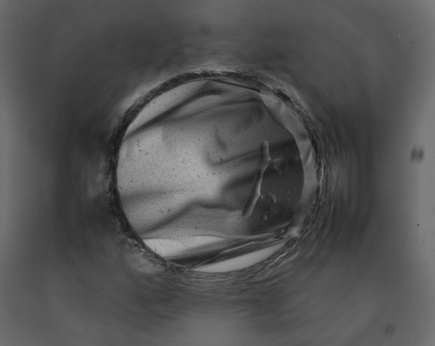 X0000092231160200710051213