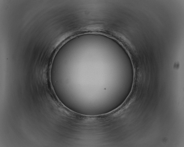 X0000092231162200710051213